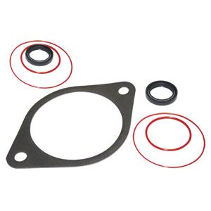VACUUM PUMP SEAL KIT W/ EXTRA SEALS ('91.5-'02, 5.9L)
